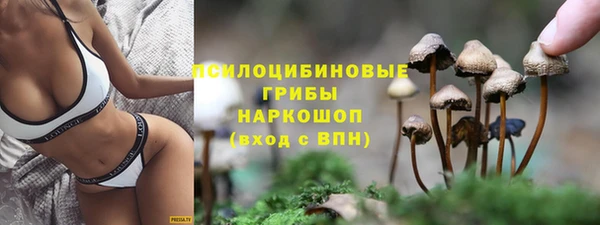 Альфа ПВП Богородицк