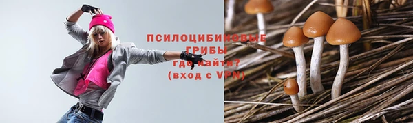 Альфа ПВП Богородицк