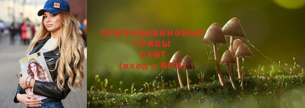 трава Богданович