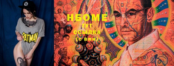 сатива Няндома