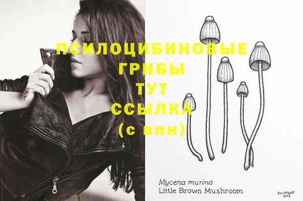 трава Богданович