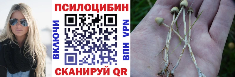 купить  сайты  hydra ссылки  Псилоцибиновые грибы GOLDEN TEACHER  Комсомольск 